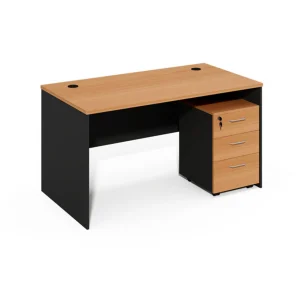 Manager Desk-05