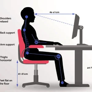 The Science of Sitting: Why an Ergonomic Chair is Essential for Your Health and Productivity